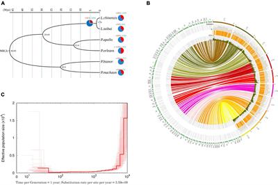 Genome assembly of Luehdorfia taibai, an endangered butterfly endemic to Qinling Moutains in China with extremely small populations
